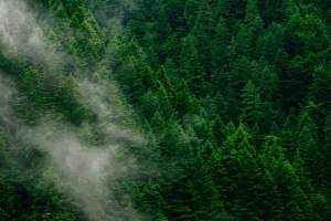 andrew-coelho-unsplash